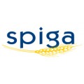 Spiga