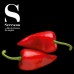 Red ‘Piquillo’ Pepper Strips in Oil and Garlic - Serrano (350 g)