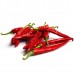 Hot Smoked Dried Peppers from La Vera - La Chinata (25 g)